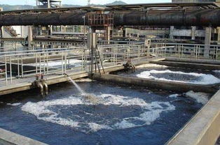 焦化废水之芬顿试剂氧化法处理煤焦油加工废水